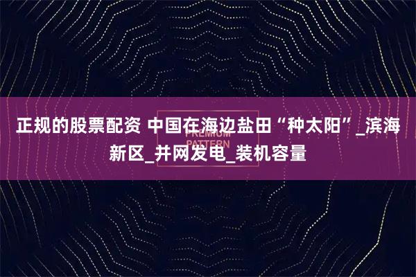 正规的股票配资 中国在海边盐田“种太阳”_滨海新区_并网发电_装机容量